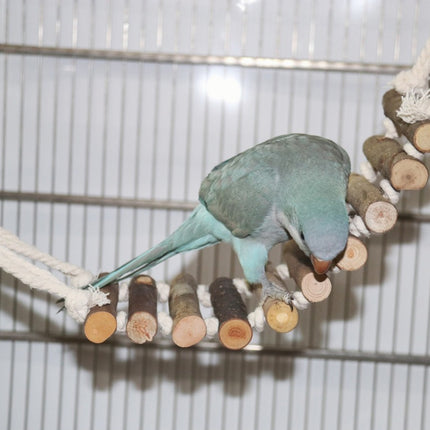 2 PCS Small Medium Parrot Toy Ladder Bridge for Budgie Cockatiel Bird Cage Play