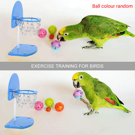 Parrot Interactive Training Toy Bird Shooting Mini Basket Pet Basketball Stand
