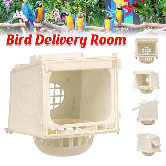 Miniature Bird Nest Oyster Shell Natural Nest for Hatching Eggs Cage Breeding