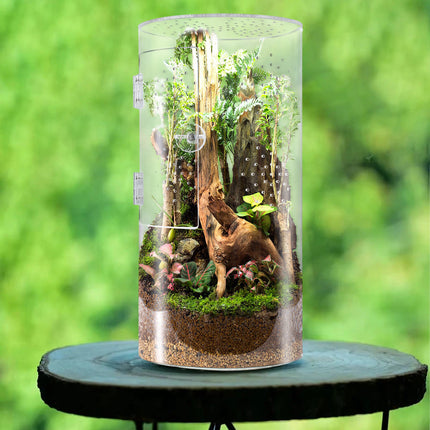 Reptile Breeding Box Model Cylindrical Transparent Pet Container Insect Habitat