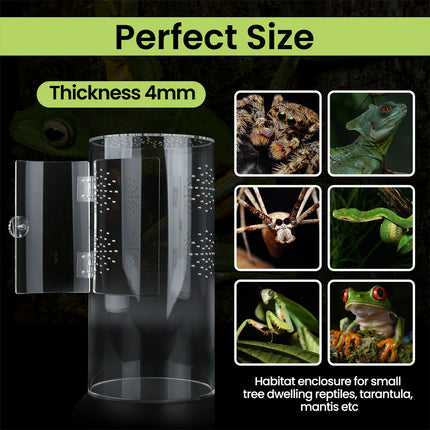 Reptile Breeding Box Model Cylindrical Transparent Pet Container Insect Habitat