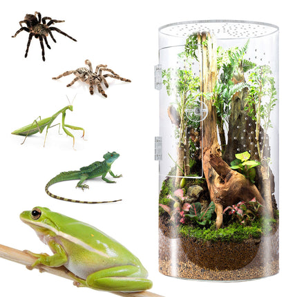 Reptile Breeding Box Model Cylindrical Transparent Pet Container Insect Habitat