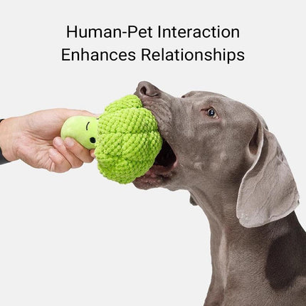 Pet Plush Squeaky Chew Toy For Dogs Cats Chew Resistant Boredom Relief Non Toxic