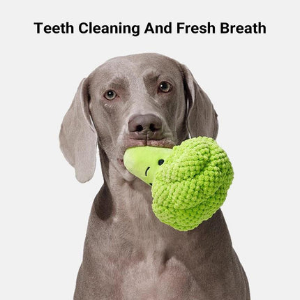 Pet Plush Squeaky Chew Toy For Dogs Cats Chew Resistant Boredom Relief Non Toxic