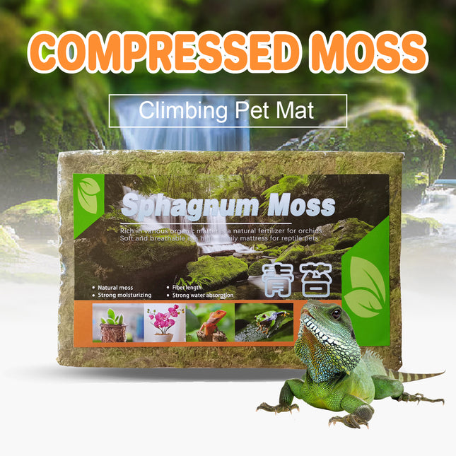 Compressed Moss Pad Reptile Moisturizing Mat Snake Lizard Amphibian Terrarium