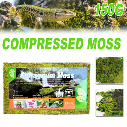 Compressed Moss Pad Reptile Moisturizing Mat Snake Lizard Amphibian Terrarium