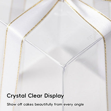 Clear Cake Gift Boxes with Ribbon 10 Pack 3 Sizes