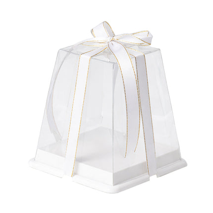 Clear Cake Gift Boxes with Ribbon 10 Pack 3 Sizes