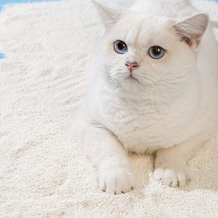 2PCS Tofu Cat Litter Non Stick Odour Control Clumping Litter for Young Cats