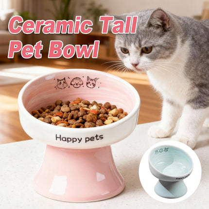 Tall Raised Ceramic Pet Bowl for Cats and Small Dogs in Blue or Pink