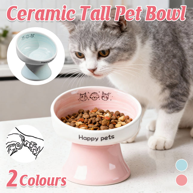 Tall Raised Ceramic Pet Bowl for Cats and Small Dogs in Blue or Pink