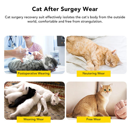 Cat Recovery Suit Post Surgery Onesie Lace Collar Adjustable Polyester S M L