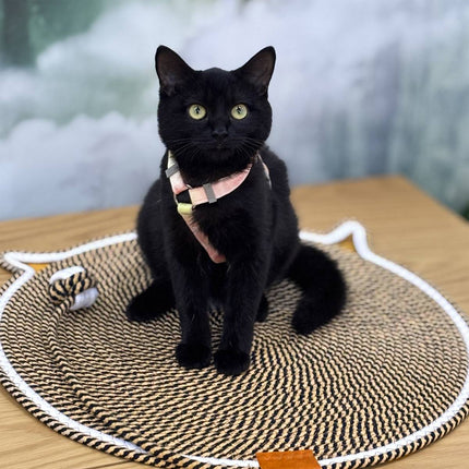 Cat Scratcher Mat Cotton Rope Round Cat Ear 43cm Teaser Ball Pet Scratch Pad