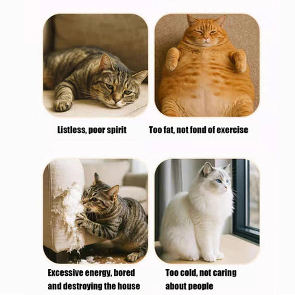 Interactive Felt Maze Toy for Cats Kittens Soft Non Toxic Pet Puzzle Box