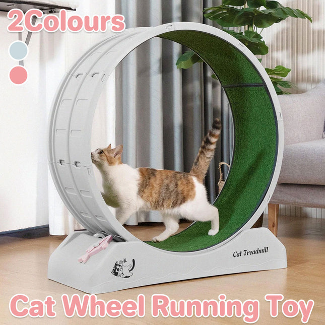 Cat Running Wheel Exercise Treadmill Toy Large Size Indoor Pet Fitness Spinner
