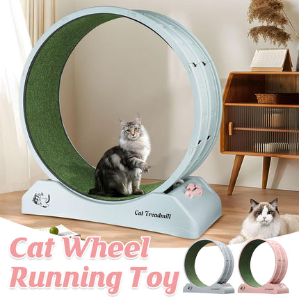 Cat Running Wheel Exercise Treadmill Toy Large Size Indoor Pet Fitness Spinner