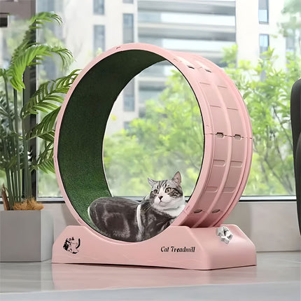 Cat Running Wheel Exercise Treadmill Toy Large Size Indoor Pet Fitness Spinner