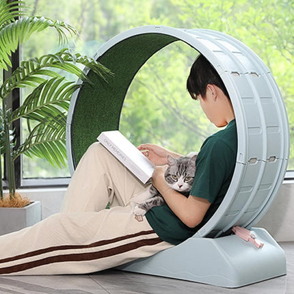 Cat Running Wheel Exercise Treadmill Toy Large Size Indoor Pet Fitness Spinner