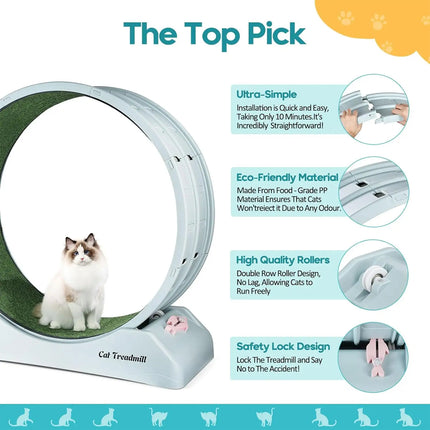 Cat Running Wheel Exercise Treadmill Toy Large Size Indoor Pet Fitness Spinner