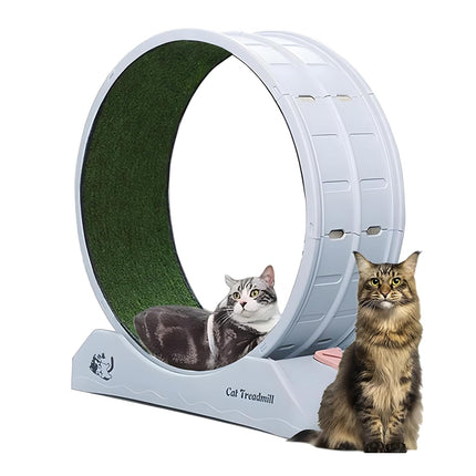 Cat Running Wheel Exercise Treadmill Toy Large Size Indoor Pet Fitness Spinner