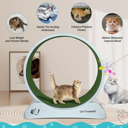 Cat Running Wheel Exercise Treadmill Toy Large Size Indoor Pet Fitness Spinner