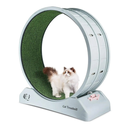 Cat Running Wheel Exercise Treadmill Toy Large Size Indoor Pet Fitness Spinner