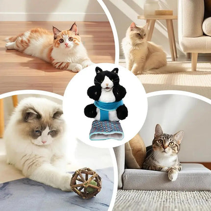 Wrestler Cat Interactive Hand Puppet Kitten Toy Pet Play Plush Puppet For Cats