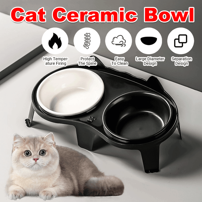 Cat Feeding Bowl Set Slanted Double Bowl Ceramic Raised Pet Feeder Non Slip Base
