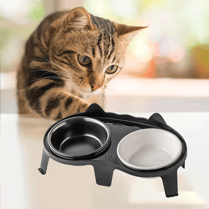 Cat Feeding Bowl Set Slanted Double Bowl Ceramic Raised Pet Feeder Non Slip Base