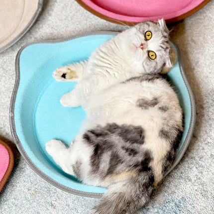 Cat Scratching Post Pad 2 in 1 PP Blanket Non Slip Indoor Kitten 38 x 38 x 5cm
