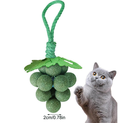 Catnip Toys Mint Ball Teeth Grinding Cleaning Teasing Toy for Cats Oral Health