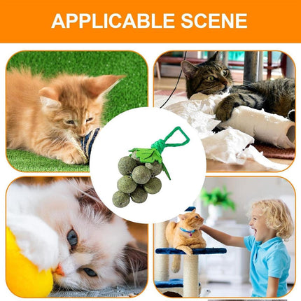 Catnip Toys Mint Ball Teeth Grinding Cleaning Teasing Toy for Cats Oral Health