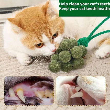 Catnip Toys Mint Ball Teeth Grinding Cleaning Teasing Toy for Cats Oral Health