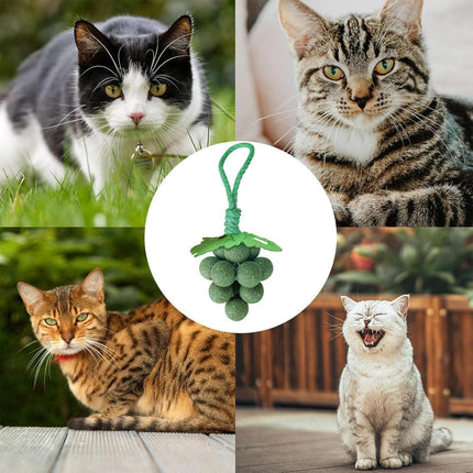 Catnip Toys Mint Ball Teeth Grinding Cleaning Teasing Toy for Cats Oral Health