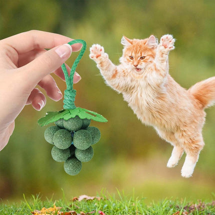 Catnip Toys Mint Ball Teeth Grinding Cleaning Teasing Toy for Cats Oral Health