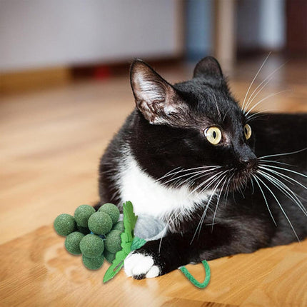 Catnip Toys Mint Ball Teeth Grinding Cleaning Teasing Toy for Cats Oral Health
