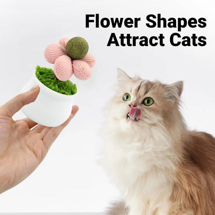 Catnip Ball Cat Chew Toy Cute Flower Pot Shaped Interactive Play Teeth Cleaning
