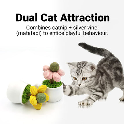 Catnip Ball Cat Chew Toy Cute Flower Pot Shaped Interactive Play Teeth Cleaning