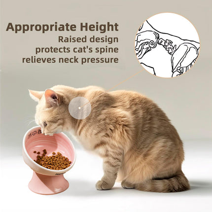 Tall Raised Ceramic Pet Bowl for Cats and Small Dogs in Blue or Pink