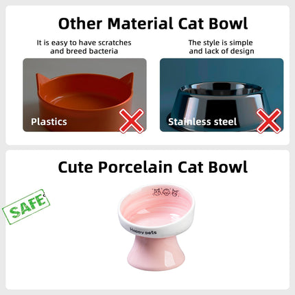 Tall Raised Ceramic Pet Bowl for Cats and Small Dogs in Blue or Pink
