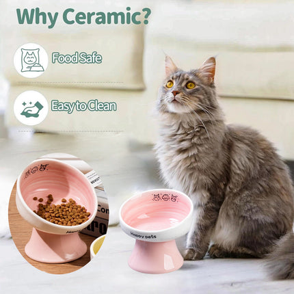 Tall Raised Ceramic Pet Bowl for Cats and Small Dogs in Blue or Pink