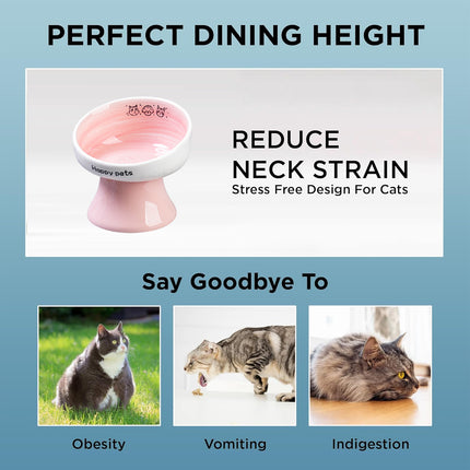 Tall Raised Ceramic Pet Bowl for Cats and Small Dogs in Blue or Pink