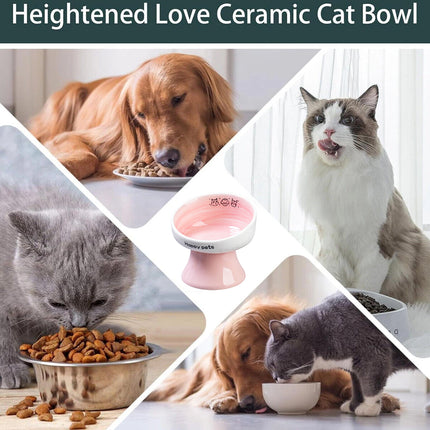 Tall Raised Ceramic Pet Bowl for Cats and Small Dogs in Blue or Pink