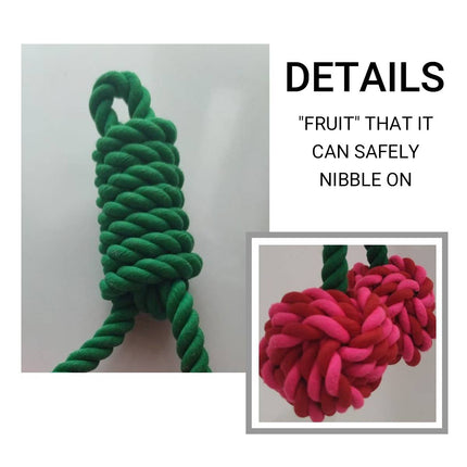 Cotton Rope Dog Toy Cherry Knot Ball Puppy Teeth Grinding Chew Tug