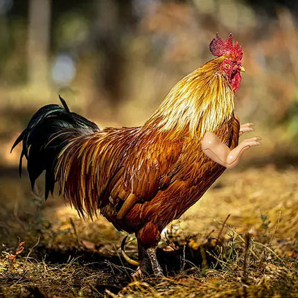 Chicken Arm Decoration Forelimb Dinosaur Spoof Pet Prop Cute Cosplay Photo Tool