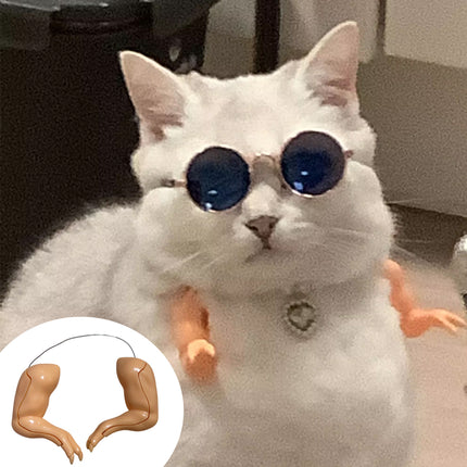 Chicken Arm Decoration Forelimb Dinosaur Spoof Pet Prop Cute Cosplay Photo Tool