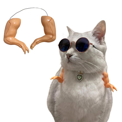 Chicken Arm Decoration Forelimb Dinosaur Spoof Pet Prop Cute Cosplay Photo Tool