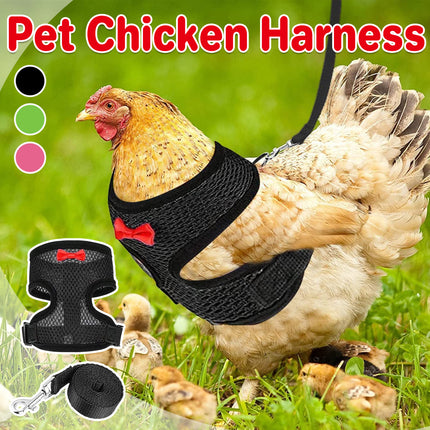 Pet Chicken Harness and Leash Set Adjustable Breathable Walking Vest for Poultry