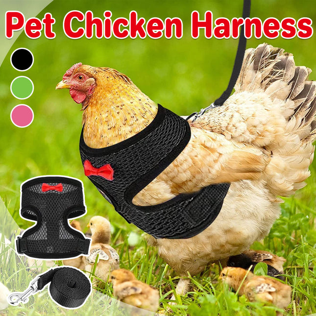 Pet Chicken Harness and Leash Set Adjustable Breathable Walking Vest for Poultry