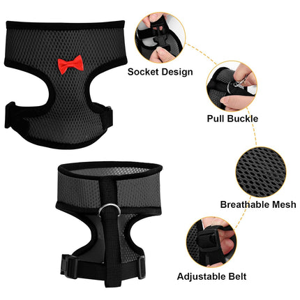 Pet Chicken Harness and Leash Set Adjustable Breathable Walking Vest for Poultry